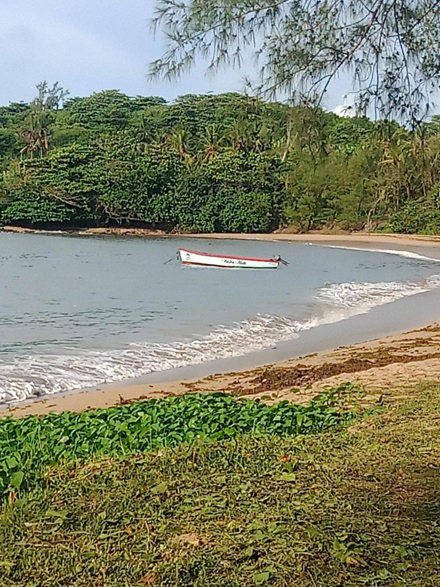 Residence Des Cascades Surinam Luaran gambar