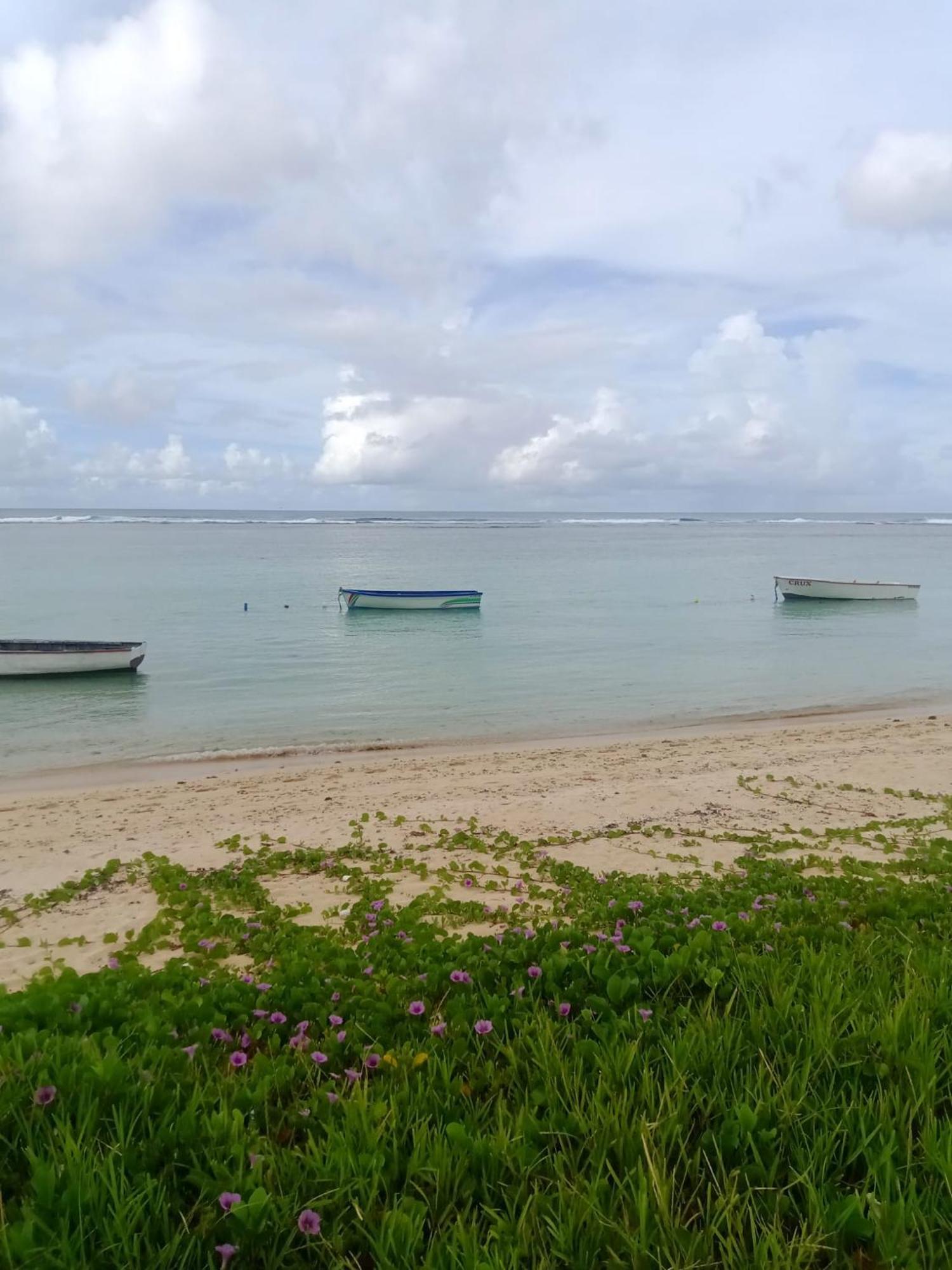 Residence Des Cascades Surinam Luaran gambar